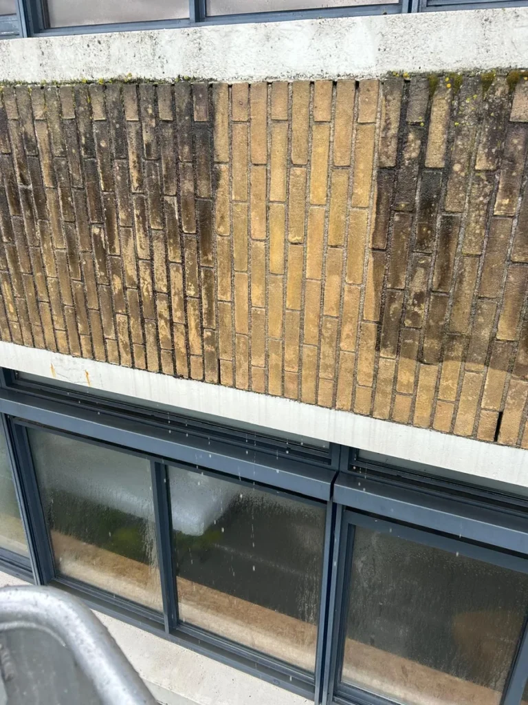Bakstenen gevel half gereinigd: de schoongemaakte baan is weer geel, de rest nog donker