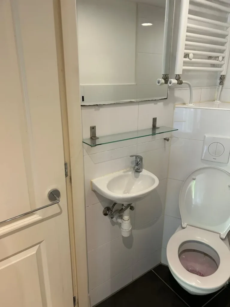 Schoongemaakte toiletruimte met wastafel en spiegel
